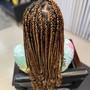 Med Large Knotless Box Braids