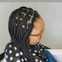 Small Braids. Mid-Back Length