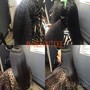 Sew in removal