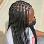 Box Braids midium