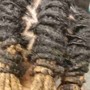 Natural Hair 2 Strand Twists