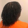 Kinky/ Spring/Passion Twists Large