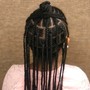 Kinky/ Spring/Passion Twists Large