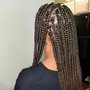 Kinky Twists(Small/Midback)