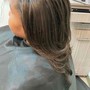 Blow Dry Straight/Flat Iron