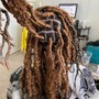 Starter Dreadlocks