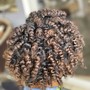 Bantu Knots