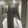 Small straight backs / cornrows