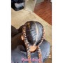 Sleek Braided Ponytail