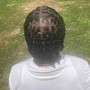 Retwist only (mid back to lower back length )