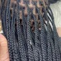 SMedium soft locs