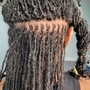 Sisterlocks™ Retightening (4-6 Weeks)