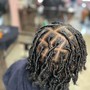 Starter Locs