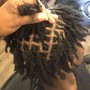 Loc Retwist