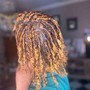 Comb starter locs