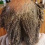 Deep Conditioning Treatment