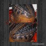 Male Braids