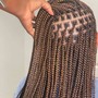 Poetic Justice Braids