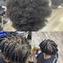 Small Starter Locs