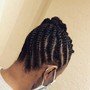 Natural Twists