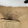 Men’s Half Arm Wax