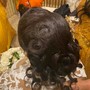 Extended Bonded Ponytail w/closure