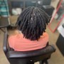 Starter locs