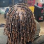 Starter locs