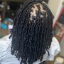 Starter locs