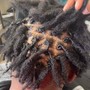 Starter locs