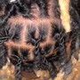 Starter Locs