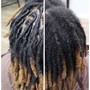 Starter locs