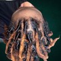 Marley Twist