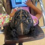 Kid's Braids