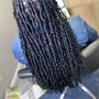 Bohemian Knotless Braids (Small)