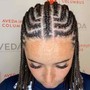 Custom Ombre(braids)