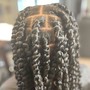 Individual Braids/Two Strand Twists