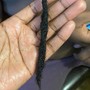 Kid's Retwist w/ Two Strand Twist