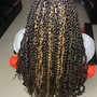 Medium Twists on natural hair