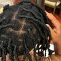 Starter Locs