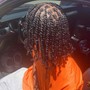 Starter Locs