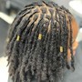 Starter Locs