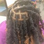 Starter locs