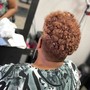 Root Touch Up