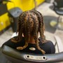 Retwist Dreadlocks