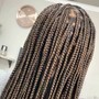 Small KNOTLESS Box Braids