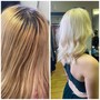 Olaplex Treatment