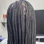 Starter Dreadlocks