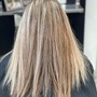 Partial Highlights/Lowlights