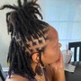 Loc Retwist, Style w/o Shampoo